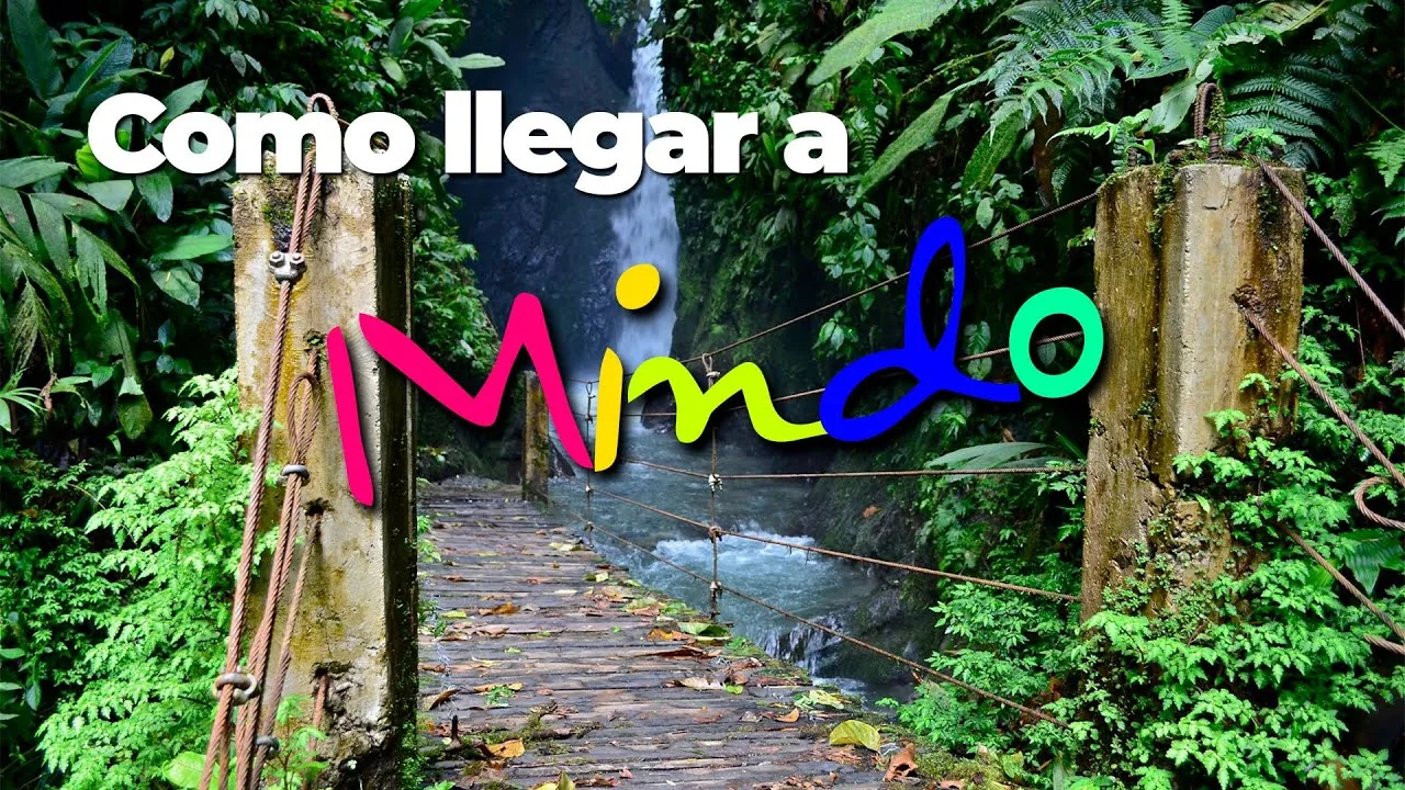 Viaje a Mindo: bosque nublado, aves, chocolate y naturaleza